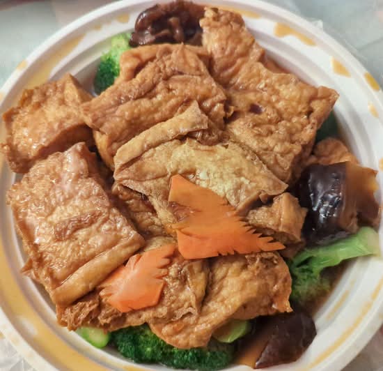 232. Braised Bean Curd 紅燒豆腐